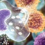 Juventas Cell Therapy's CAR-T Therapy Clears for SLE-ITP Study in China