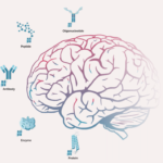 AbbVie Inks $1.4 Billion Deal to Acquire Alzheimer's Drug Developer Aliada Therapeutics