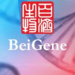 BeiGene's Tevimbra Approved in China for NSCLC Patients as Neoadjuvant and Adjuvant Therapy