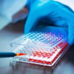 Kintor Pharmaceutical Initiates Phase II/III Trial for KX-826 Tincture 1.0% in Treating Male Androgenetic Alopecia