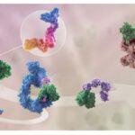 Huadong Medicine Gets Green Light for HPK1 PROTAC Drug HDM2006 in Advanced Solid Tumors