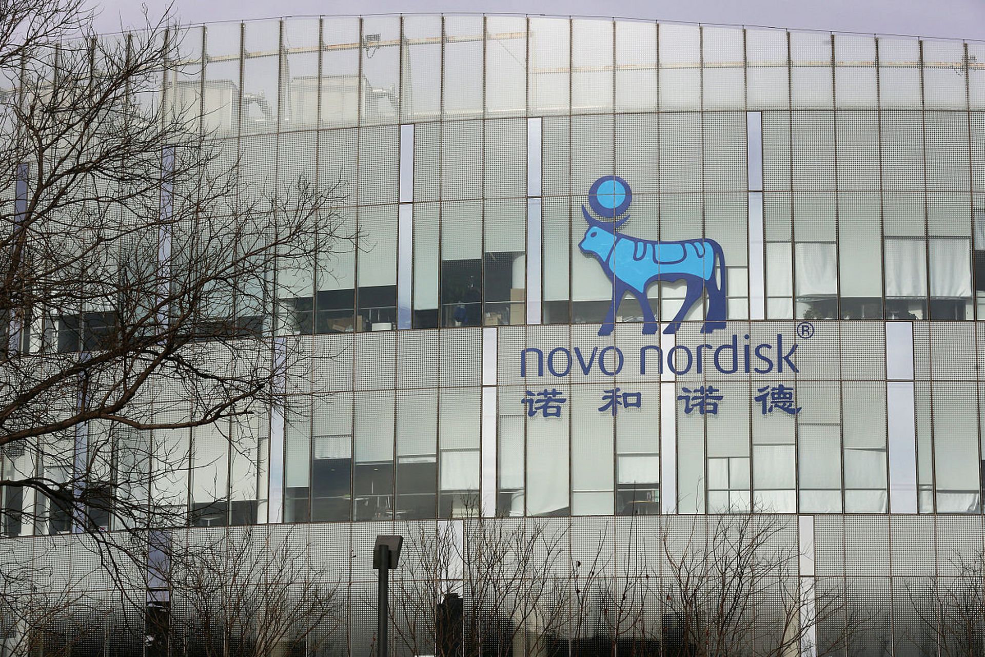 Novo Nordisk’s Semaglutide Shows 14% Reduction in Cardiovascular Events in Landmark SOUL Trial