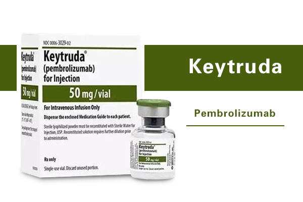 Merck’s Keytruda Gains Two Additional EU Indications for Gynecologic Cancer Treatment