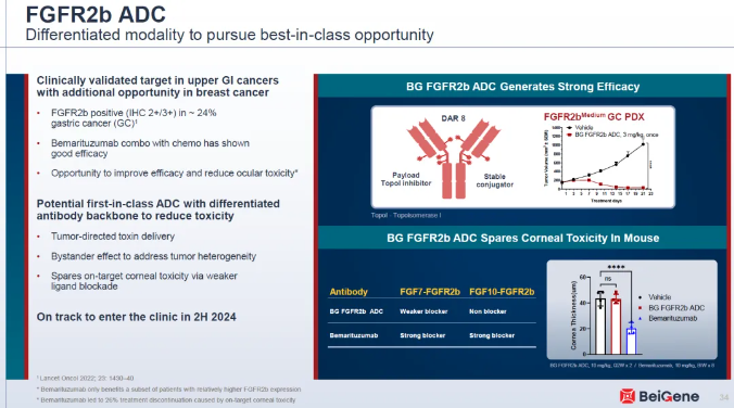 BeiGene’s FGFR2b ADC BG-C137 Enters Phase I Clinical Trial for Advanced Solid Tumors