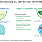 Johnson & Johnson’s KLK2-CD3 Bispecific Antibody JNJ-78278343 Advances in Prostate Cancer Clinical Trials