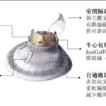 Jenscare Scientific's LuX-Valve Plus Shows Positive One-Year Results in TRAVEL II Study