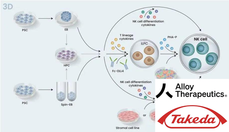 Alloy Therapeutics Partners with Takeda on iPSC-Derived CAR-T and CAR-NK Therapies