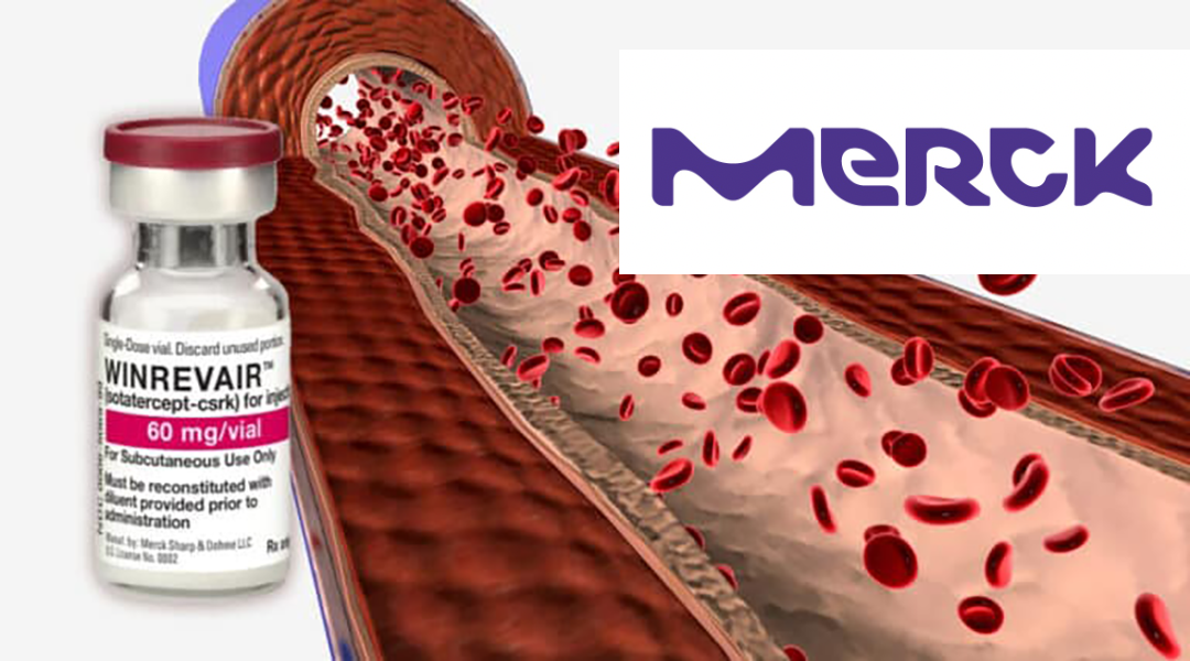 Merck’s Winrevair Shows Positive Results in Phase III ZENITH Study for PAH