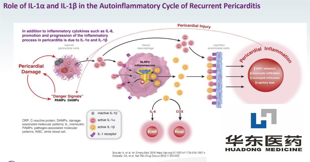 Huadong Medicine's Arcalyst Receives NMPA Approval for Cryopyrin-Associated Periodic Syndromes