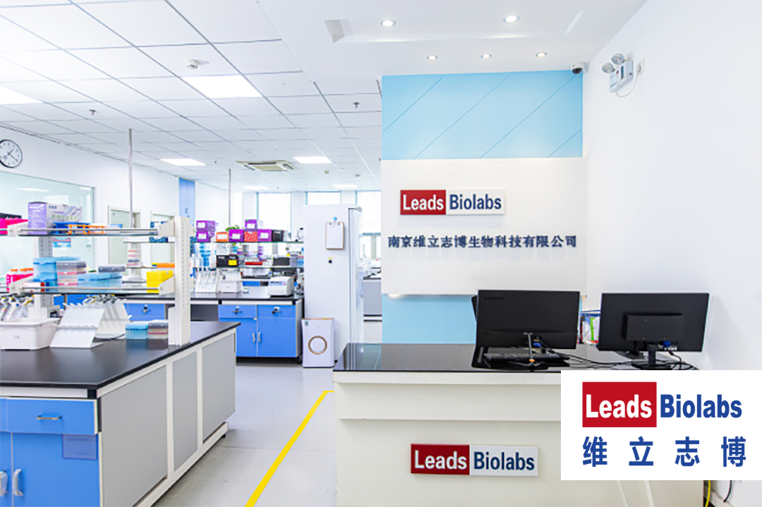 Nanjing Leads Biolabs Commences IPO Process with Focus on Innovative Therapies