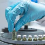 Flare Therapeutics and Roche Enter Strategic Collaboration for Oncology Drug Discovery