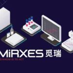 Mirxes Holding Company Updates IPO Prospectus with 2024 Financials
