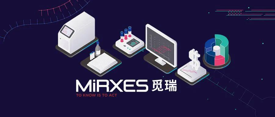 Mirxes Holding Company Updates IPO Prospectus with 2024 Financials