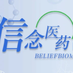 Belief BioMed's BBM-D101 Receives FDA Orphan Drug and Pediatric Rare Disease Designations for DMD