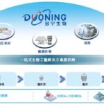Shanghai Duoning Biotechnology Partners with Branca Bunús for Transfection Reagents Innovation