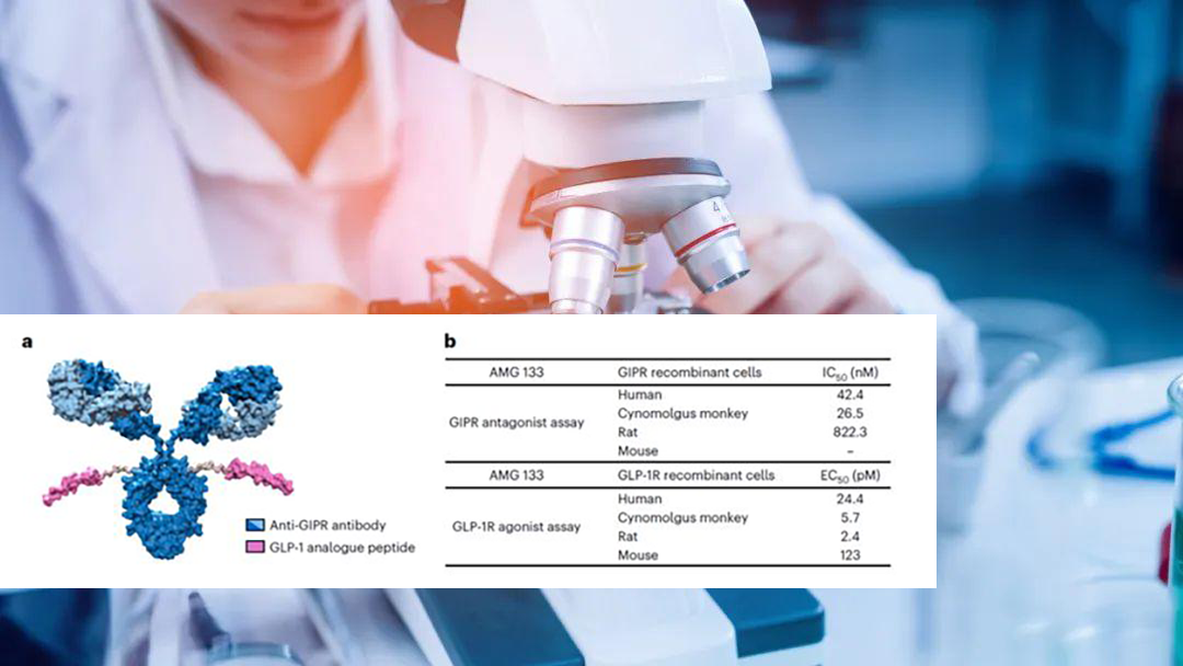 Amgen’s MariTide Showcases Significant Weight Loss in Phase II Study