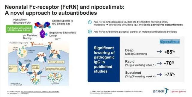 Janssen-Cilag’s Nipocalimab Shows Promise in Phase II Study for Sjögren’s Disease