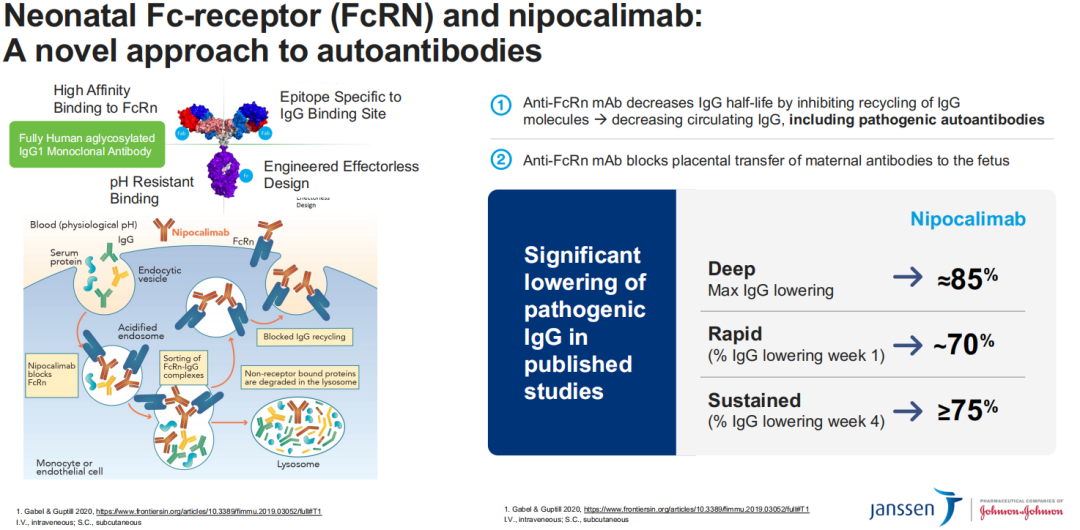 J&J’s Nipocalimab Receives FDA Breakthrough Therapy Designation for Sjögren’s Disease