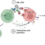 Nanjing Leads Biolabs Secures FDA Orphan Drug Designation for LBL-034 in Multiple Myeloma Treatment