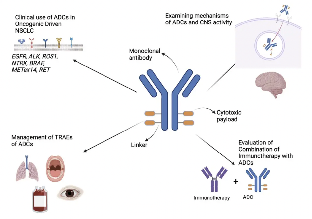 Daiichi Sankyo and AstraZeneca File BLA for Datopotamab Deruxtecan in NSCLC