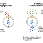 Zucara Therapeutics Secures $20M Series B Financing Led by Sanofi and PXV Fund