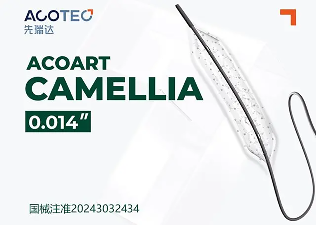 Acotec Scientific’s AcoArt Camellia Receives NMPA Approval for Coronary Artery Disease Treatment