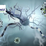 Phanes Therapeutics' PT217 Earns FDA Fast Track Designation for Neuroendocrine Prostate Cancer