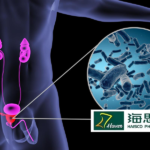 Haisco Pharmaceutical's HSK46575 Receives NMPA Approval for Prostate Cancer Clinical Trial