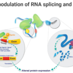 GSK plc Expands Pipeline with Rgenta Therapeutics Partnership for RNA-Targeted Splice Modulators