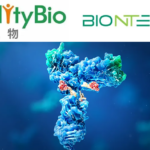 Duality Biologics' DB-1311 ADC Shows Promising Results in Global Phase 1/2a Trial