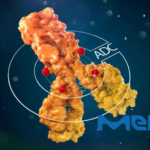 Merck's Zilovertamab Vedotin Shows 100% CR Rate in Phase II Study for DLBCL: ASH Presentation