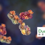 Duality Biologics' BNT324/DB-1311 Shows Positive Results in Global Phase I/IIa Study at ESMO Asia