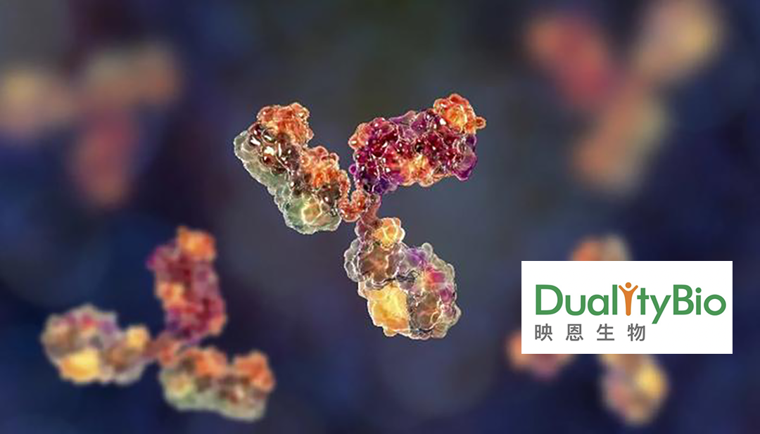 Duality Biologics’ BNT324/DB-1311 Shows Positive Results in Global Phase I/IIa Study at ESMO Asia