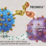 Tecvayli (Teclistamab) Demonstrates Positive Results in MajesTEC-5 and MajesTEC-4 Trials