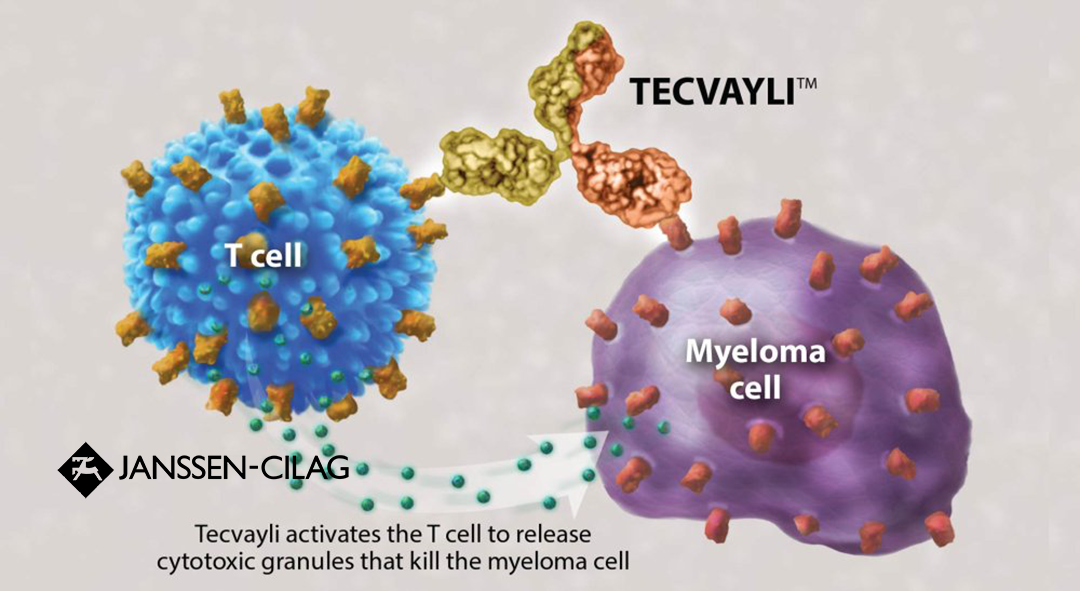 Tecvayli (Teclistamab) Demonstrates Positive Results in MajesTEC-5 and MajesTEC-4 Trials