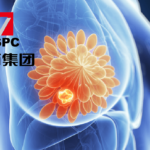 CSPC Pharmaceutical Group's SYHX2011 for Metastatic Breast Cancer Accepted for NMPA Review