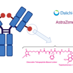 Daiichi Sankyo and AstraZeneca's Datopotamab Deruxtecan Earns FDA Breakthrough Therapy Designation