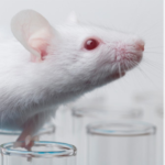 Nona Biosciences Partners with Kodiak Sciences to Discover Multi-Target Ophthalmic Antibodies