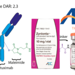NMPA Approves Zynlonta for Relapsed or Refractory Large B-Cell Lymphoma Treatment