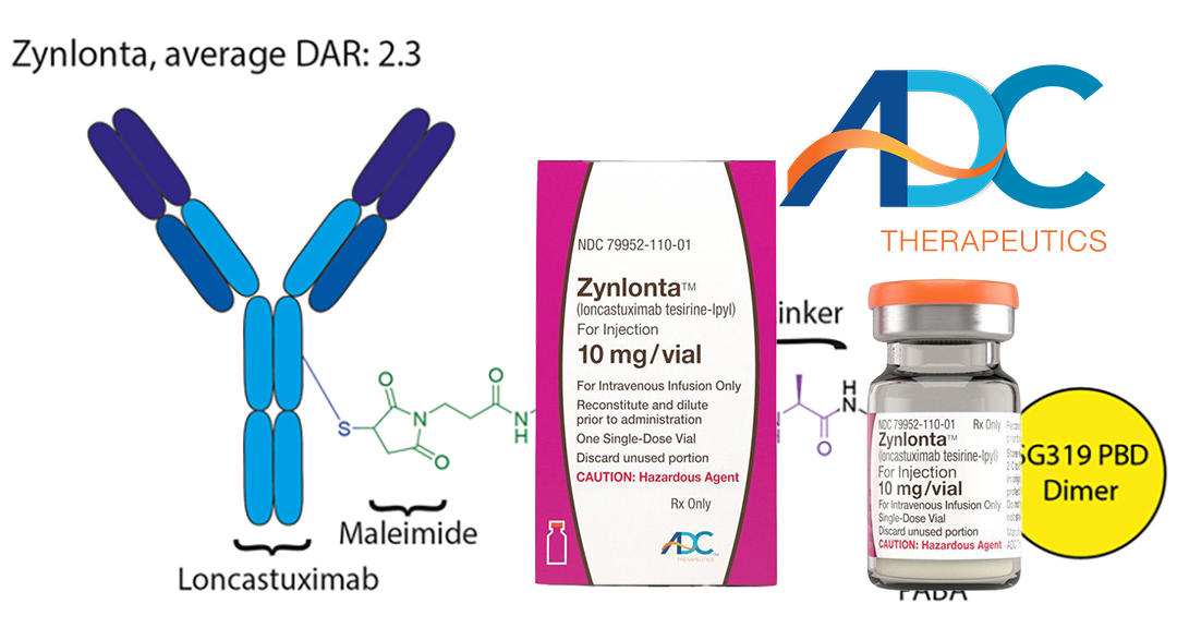 NMPA Approves Zynlonta for Relapsed or Refractory Large B-Cell Lymphoma Treatment