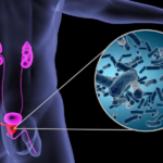 Jiangsu Hengrui Pharmaceuticals Secures NMPA Approvals for SHR-4394 and HRS-3802 Clinical Trials
