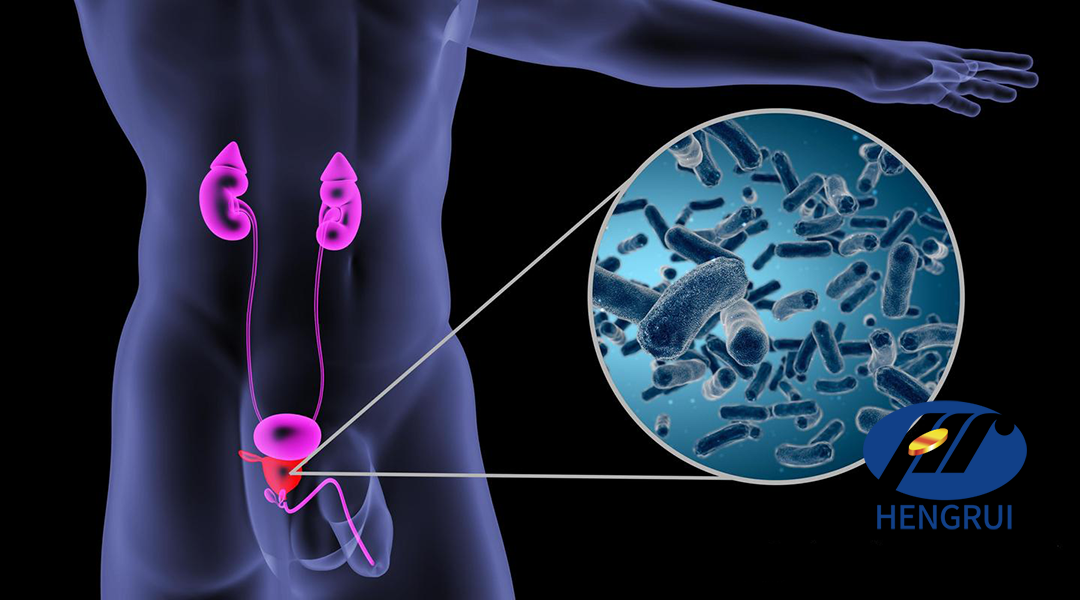 Jiangsu Hengrui Pharmaceuticals Secures NMPA Approvals for SHR-4394 and HRS-3802 Clinical Trials