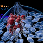 Arvinas and Pfizer Present Positive TACTIVE-U Sub-Study Data at SABCS 2024
