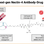 BeiGene Ltd Acquires Global Rights to CSPC's MAT2A Inhibitor SYH2039