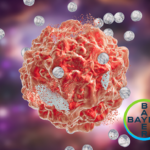 Bayer AG Initiates Phase I Study Combining BAY3498264 with Sotorasib for KRAS-Mutated Tumors