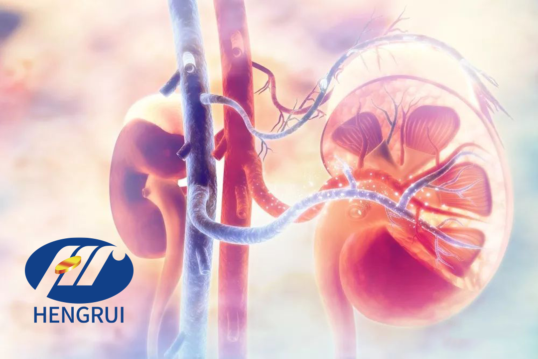 Jiangsu Hengrui Pharmaceuticals Receives NMPA Approval for Lupus Nephritis Clinical Trial