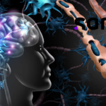 Sanofi's Tolebrutinib Earns FDA Breakthrough Designation for Non-Relapsing Secondary Progressive MS
