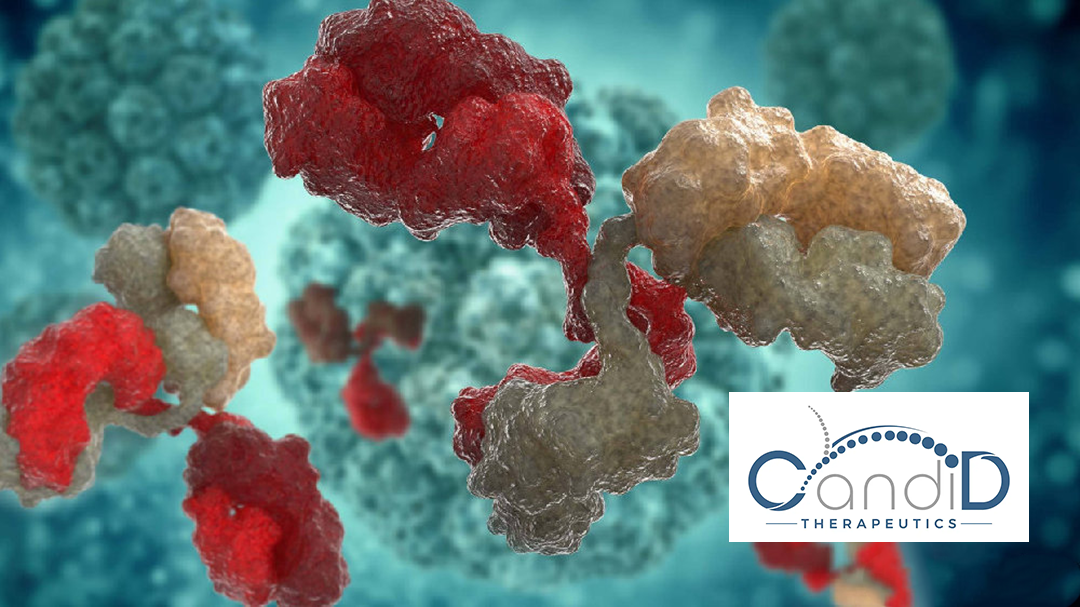 Candid Therapeutics Expands TCE Portfolio with Strategic Partnerships in Autoimmune Disease Treatment