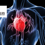 Huadong Medicine's HDM1005 Receives FDA Clearance for Heart Failure and Obesity Clinical Trial