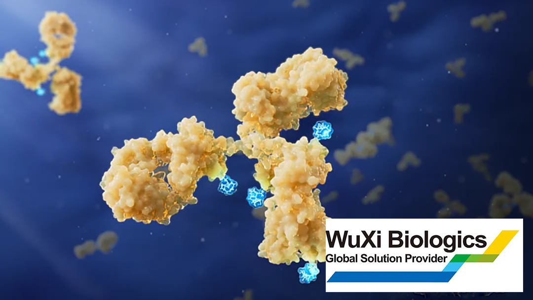 WuXi Biologics Enters Licensing Deal with Hangzhou DAC and Aadi Bio for Preclinical ADC Portfolio